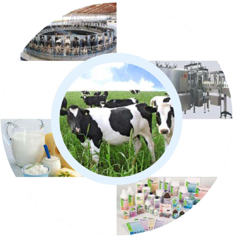 DairyTech India